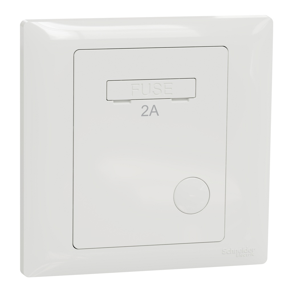 SCHNEIDER ELECTRIC A3GN30FSG_2A_WE