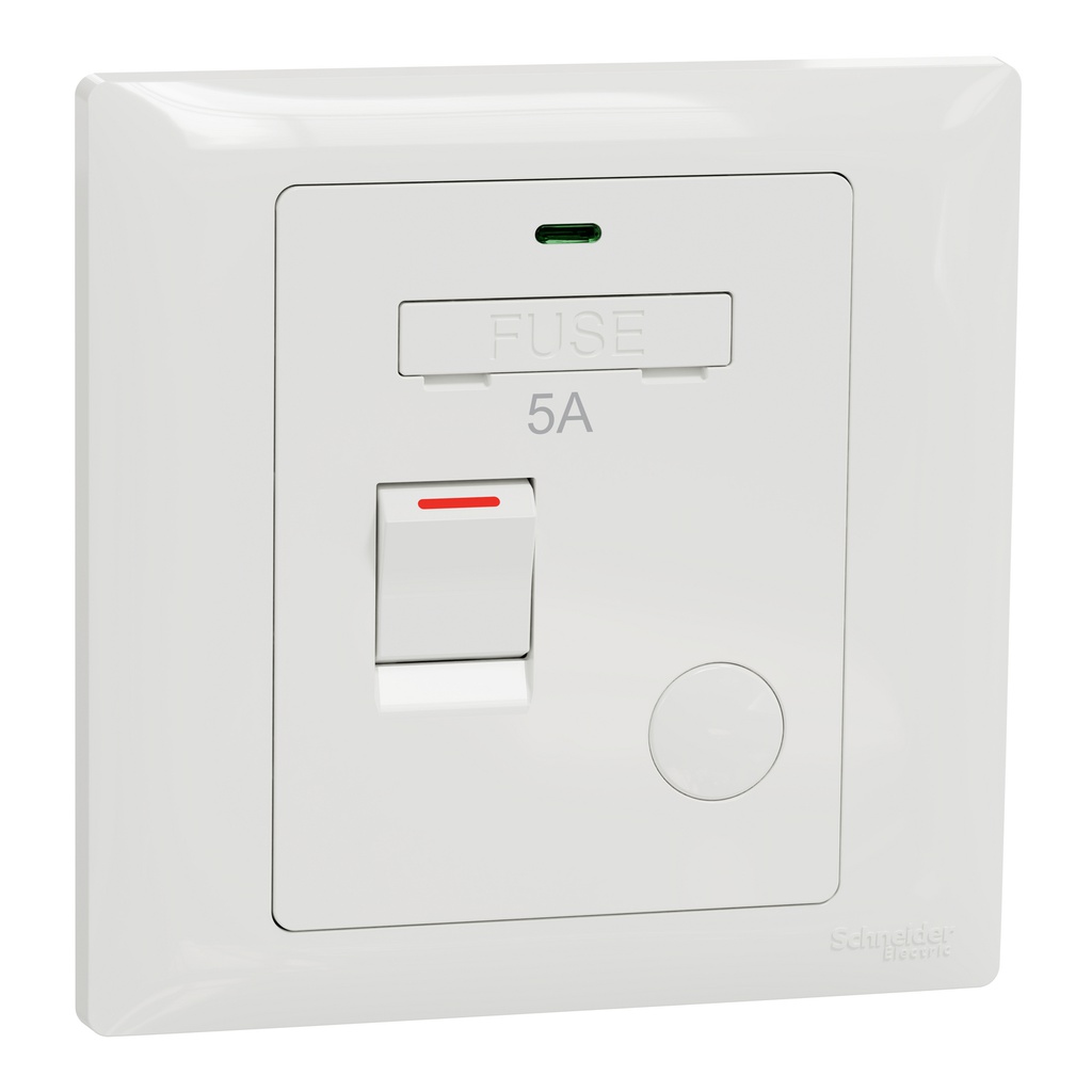 SCHNEIDER ELECTRIC A3GN31DFSGN_5A