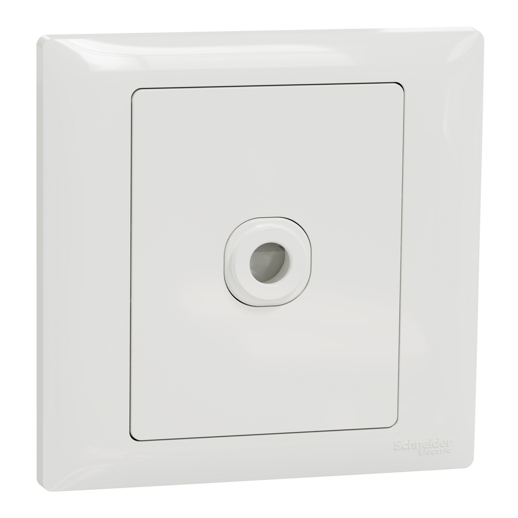 SCHNEIDER ELECTRIC A3GN31TB_WE