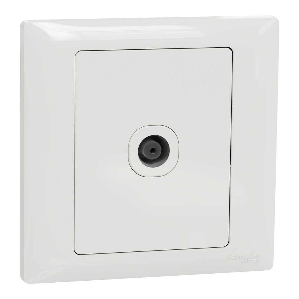SCHNEIDER ELECTRIC A3GN31TV_WE