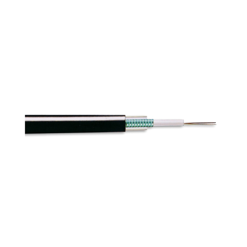 SCHNEIDER ELECTRIC ACTUDUTLA12SM9