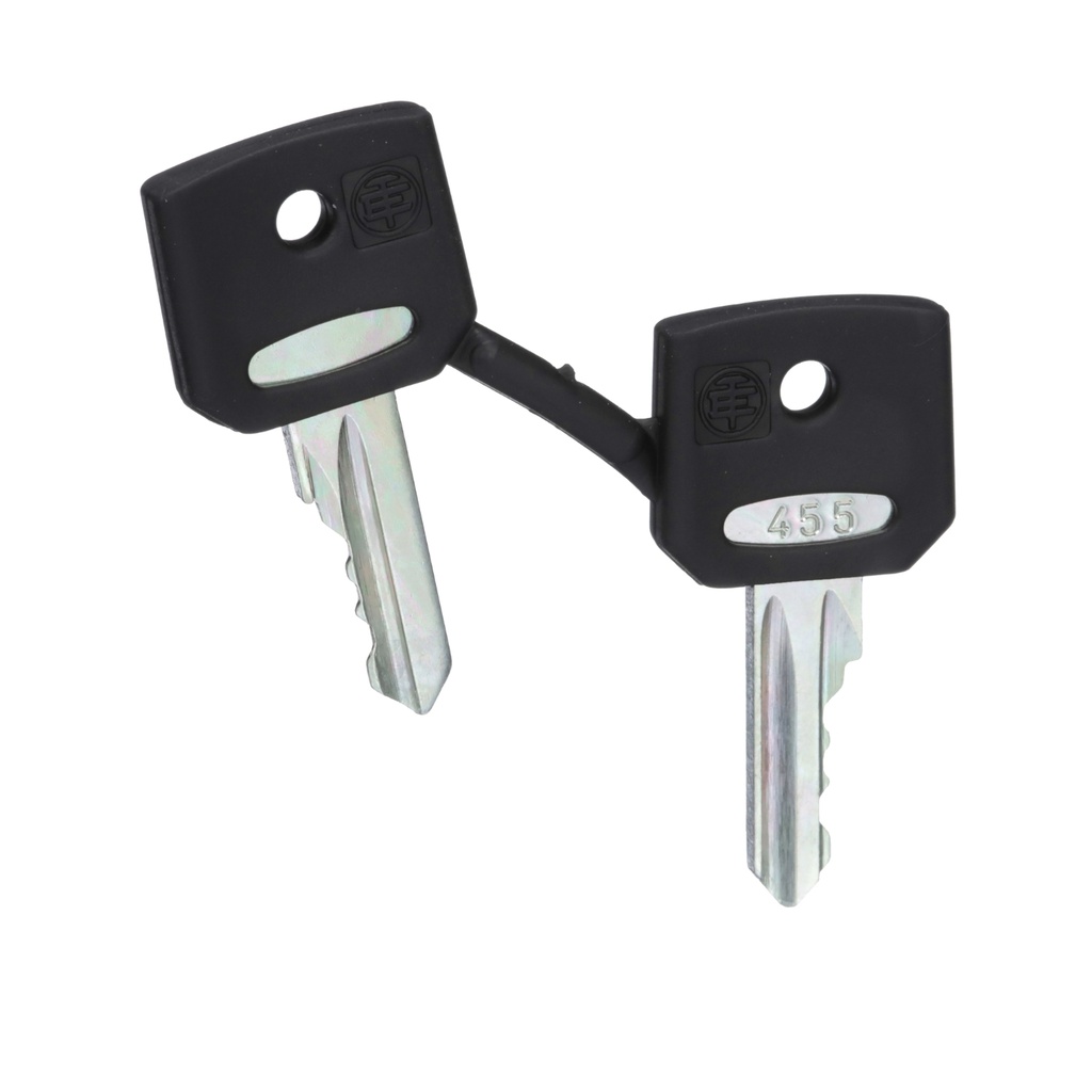 SCHNEIDER ZBG455 | Wah Sum Online