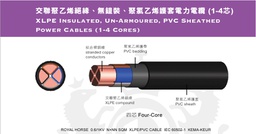 ROYAL HORSE XLPE INSULATED UN-ARMOURED PVC SHEATHED 1C POWER Cable 1m (Black)